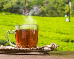 Darjeeling Tea